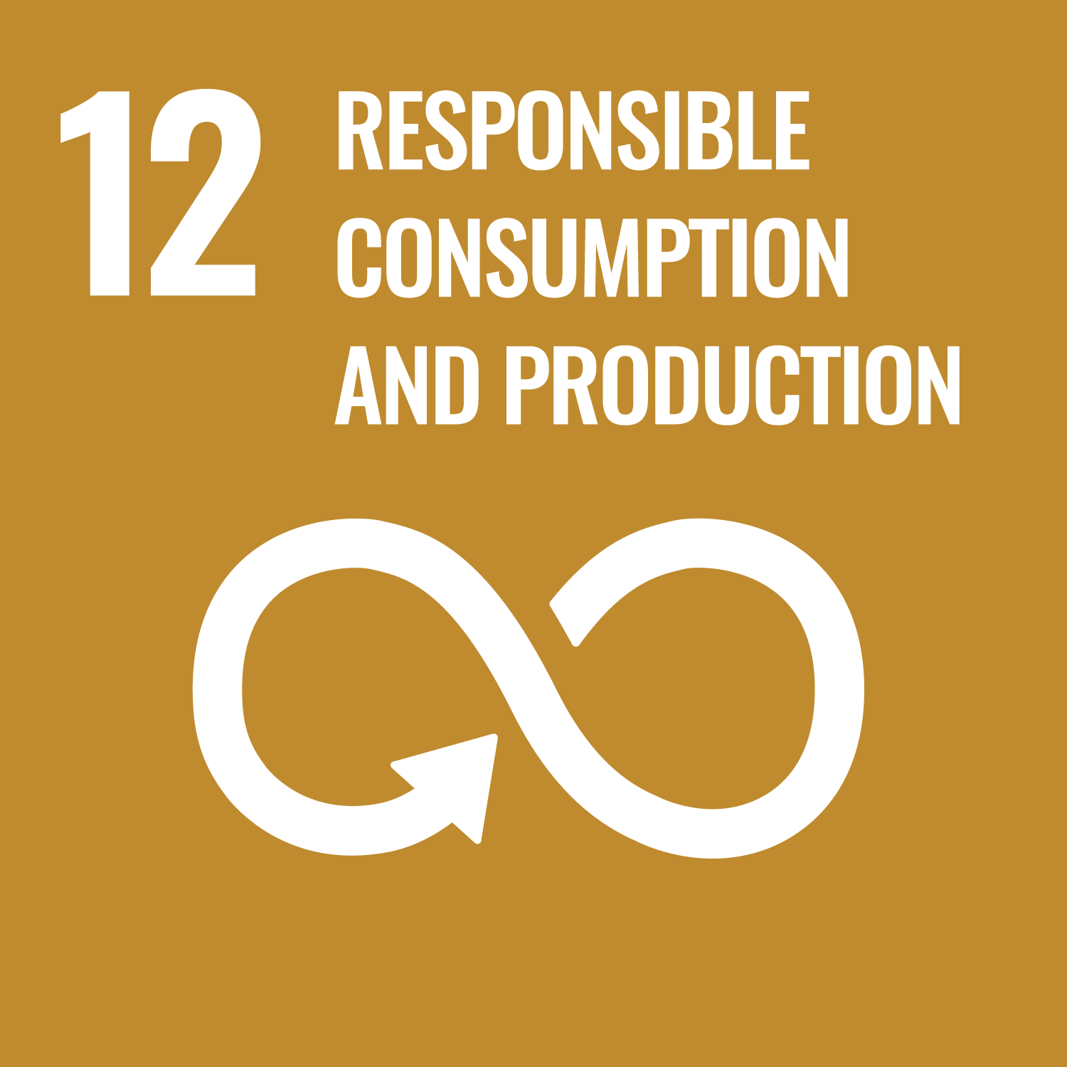 UN Social Development Goal 12. Responsible Consumption and Production